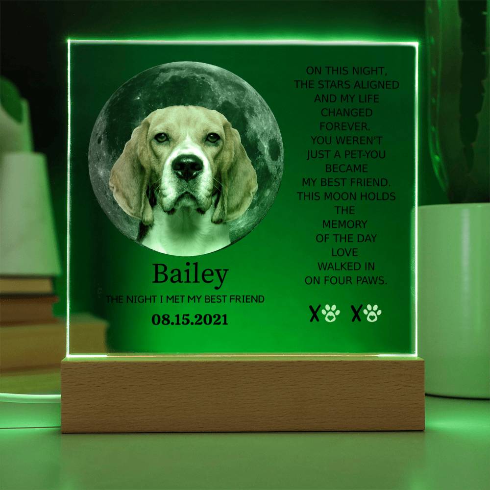 Custom Pet Moon Plaque – “The Night I Met My Best Friend”