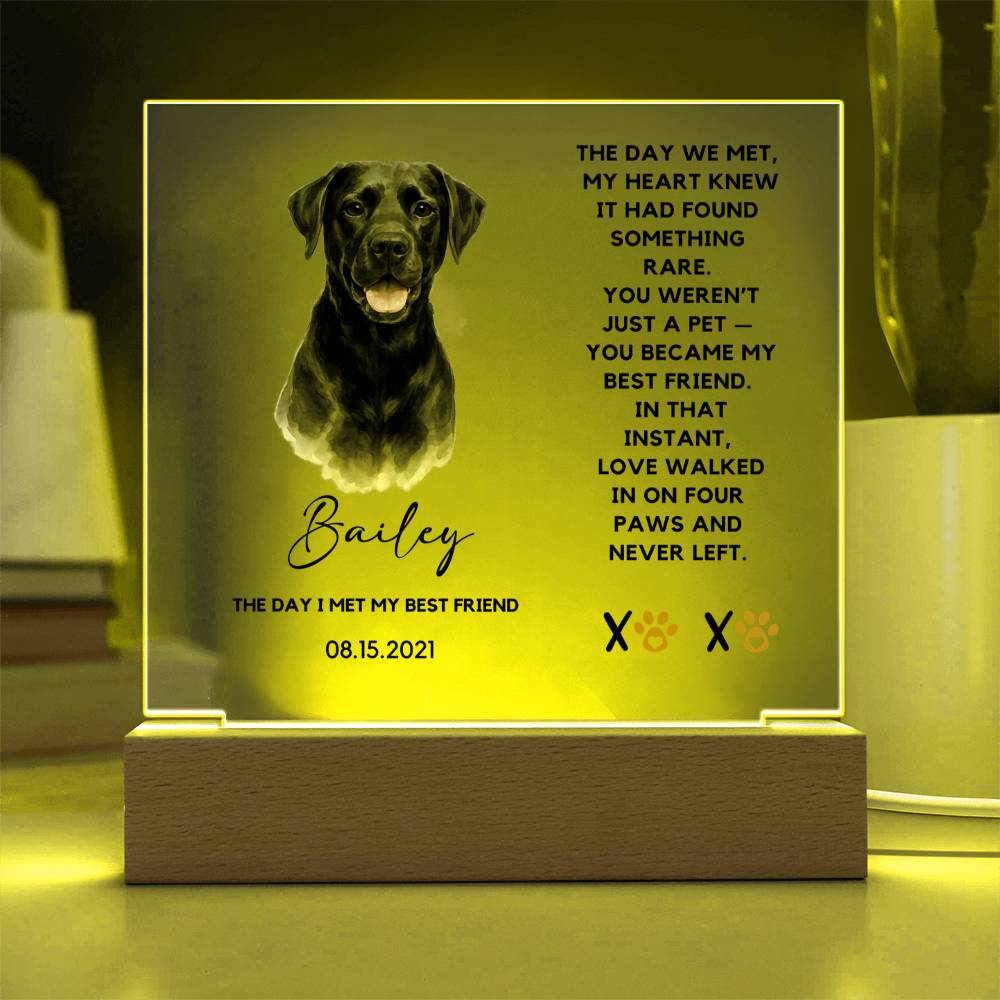 Custom Watercolor Pet Portrait