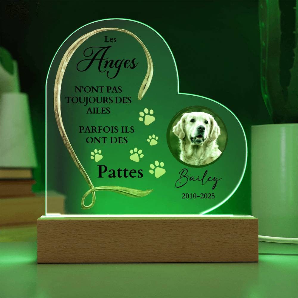 Plaque Commémorative LED en Cœur pour Animal de Compagnie