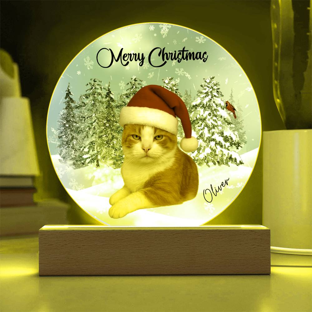 Acrylic Circle Plaque