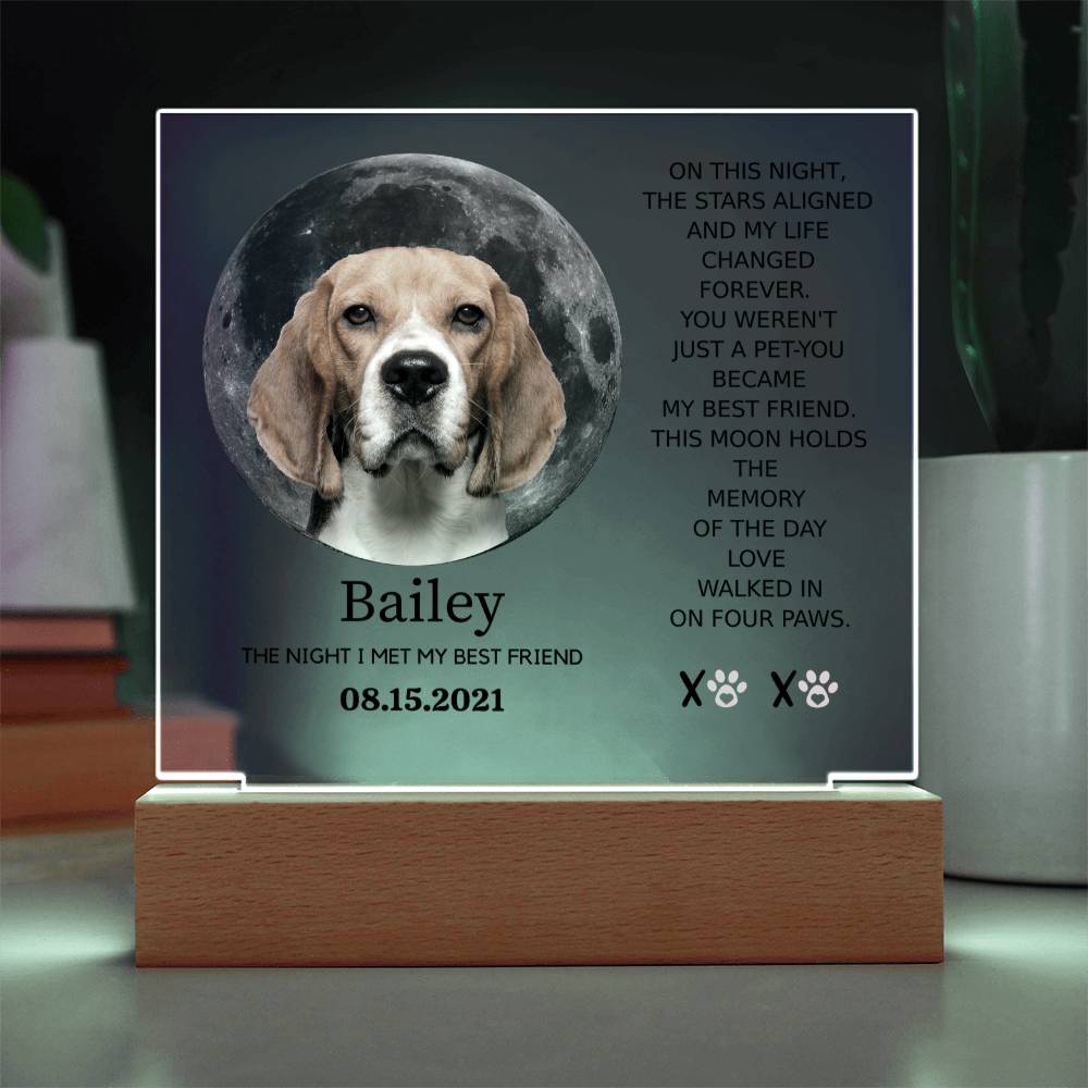Custom Pet Moon Plaque – “The Night I Met My Best Friend”
