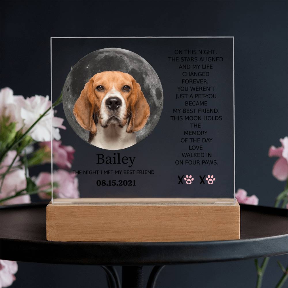 Custom Pet Moon Plaque – “The Night I Met My Best Friend”