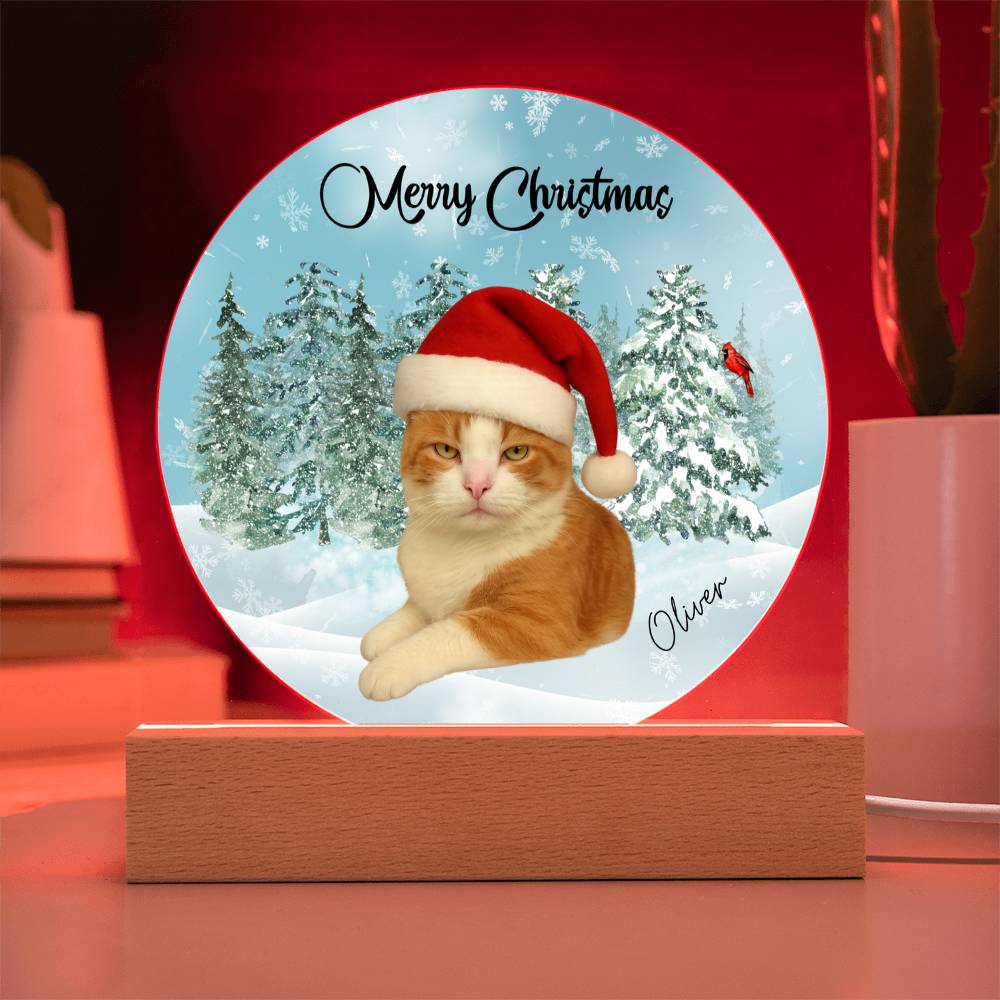 Acrylic Circle Plaque
