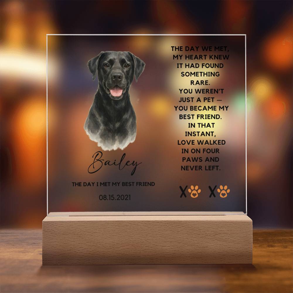 Custom Watercolor Pet Portrait