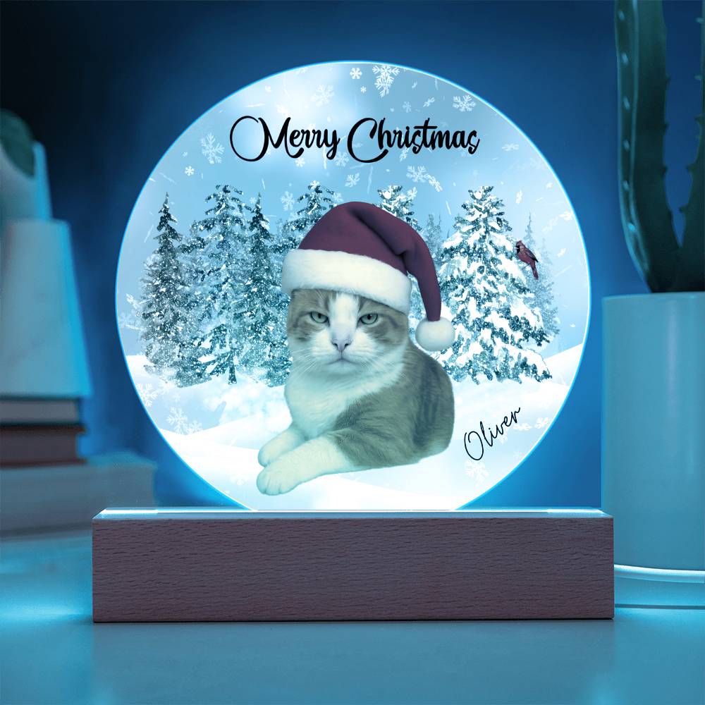Acrylic Circle Plaque