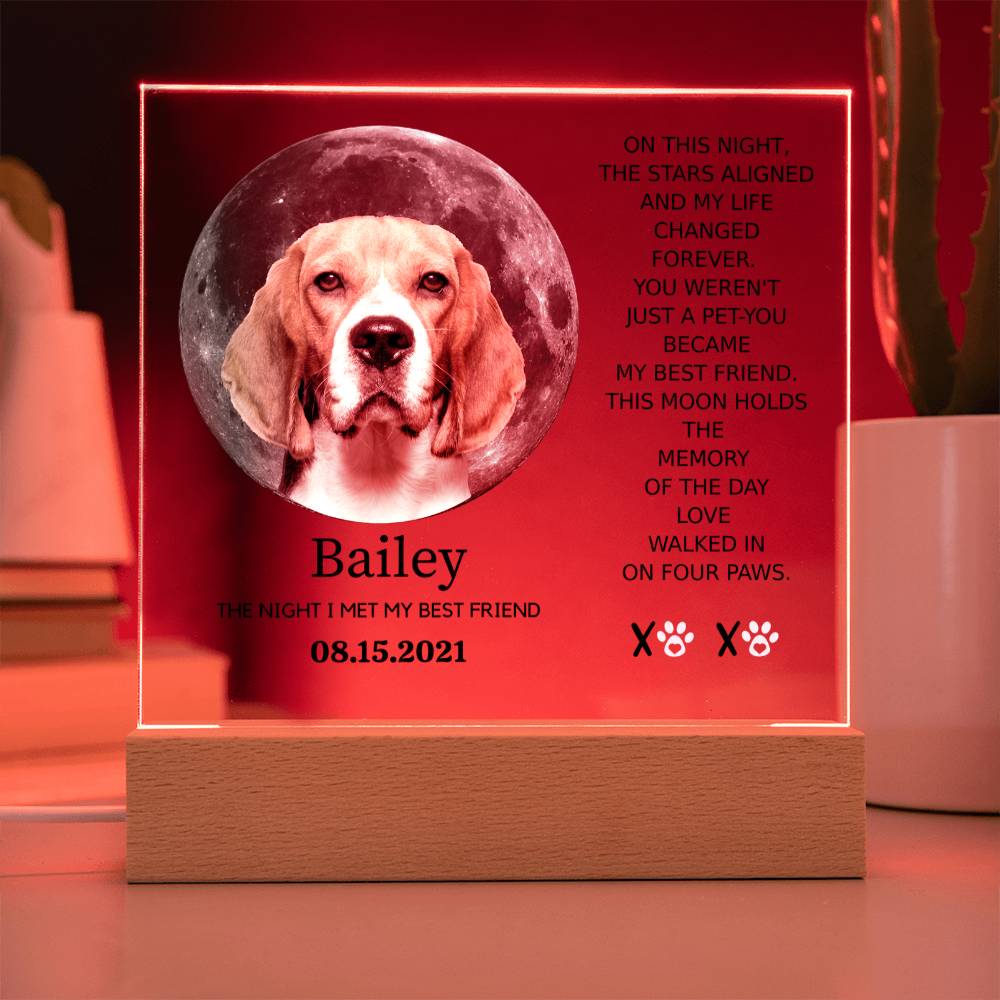 Custom Pet Moon Plaque – “The Night I Met My Best Friend”