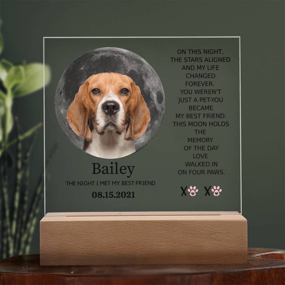 Custom Pet Moon Plaque – “The Night I Met My Best Friend”
