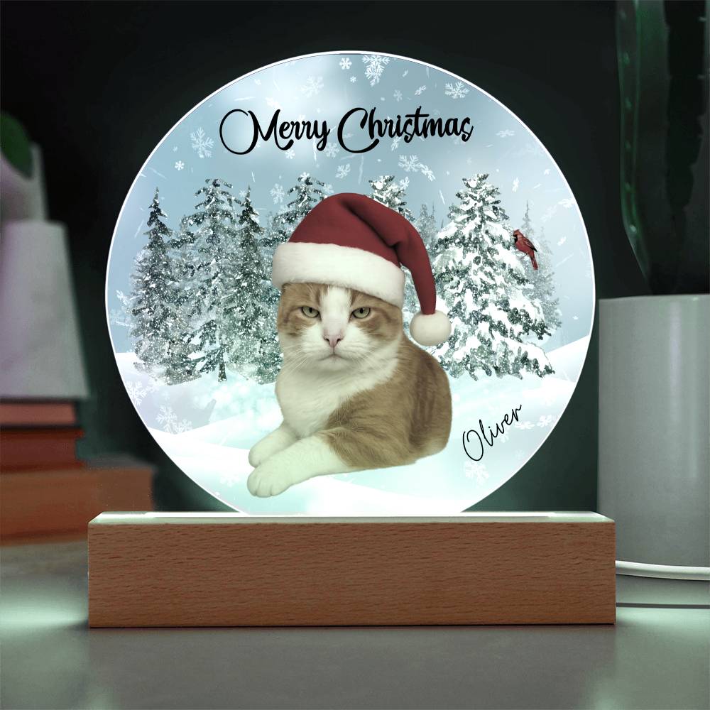 Acrylic Circle Plaque