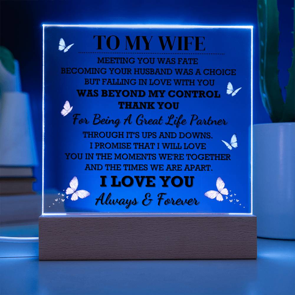 To My Wife Acrylic Plaque | Gift From Husband