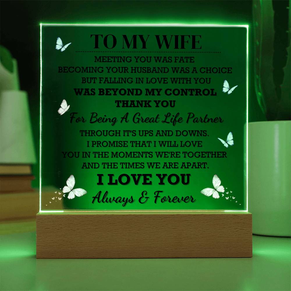 To My Wife Acrylic Plaque | Gift From Husband