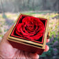 To Mom Love Knot Necklace with Preserved Rose