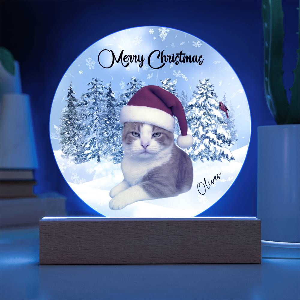 Acrylic Circle Plaque