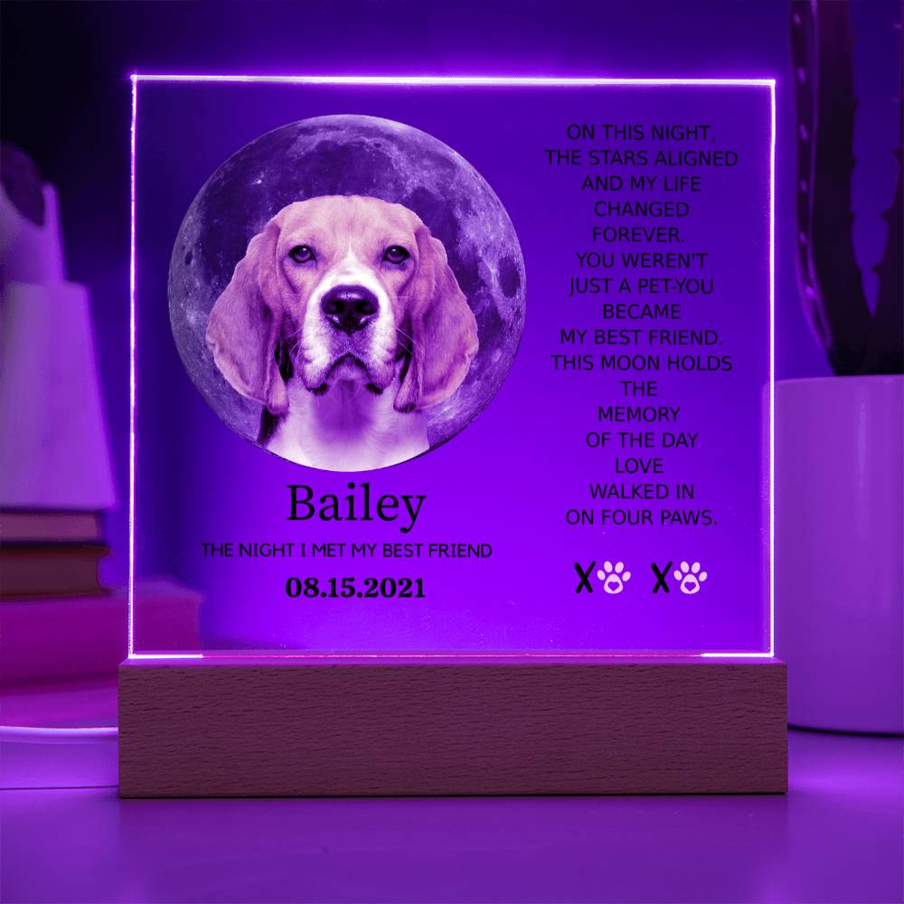 Custom Pet Moon Plaque – “The Night I Met My Best Friend”