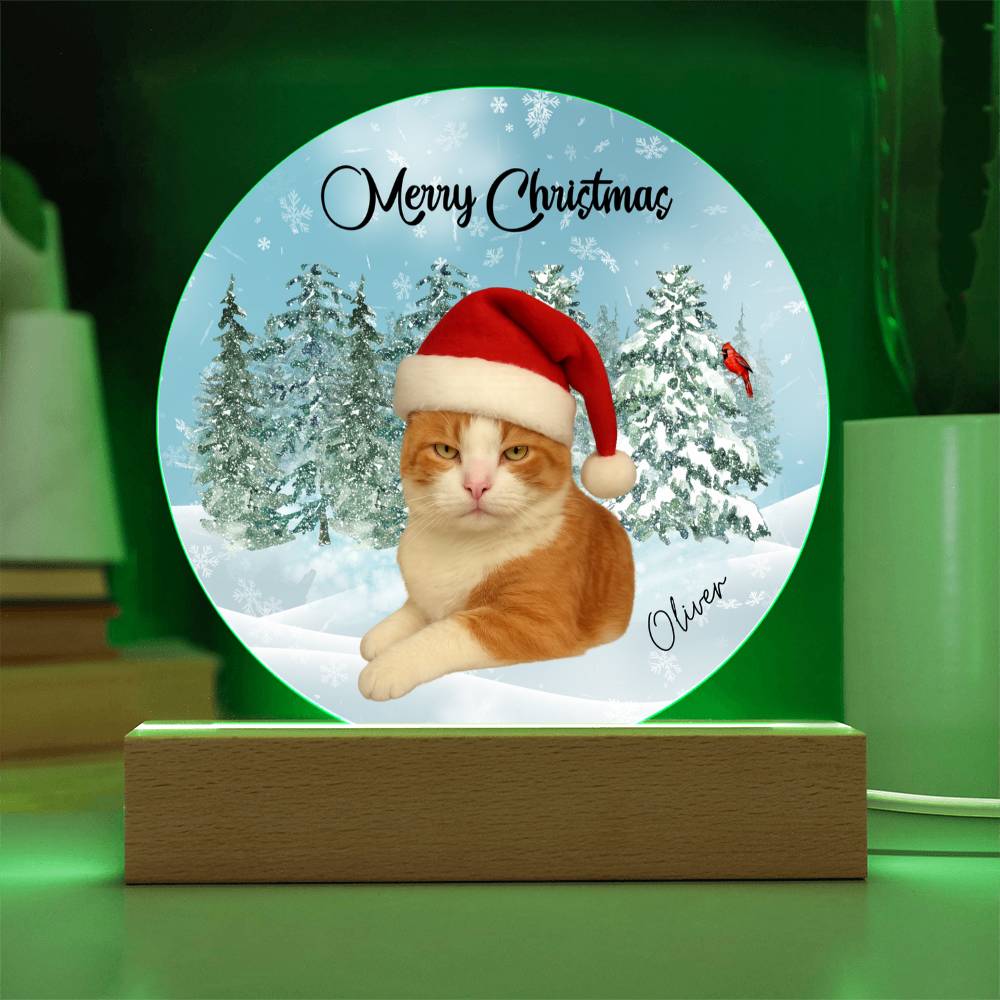 Acrylic Circle Plaque