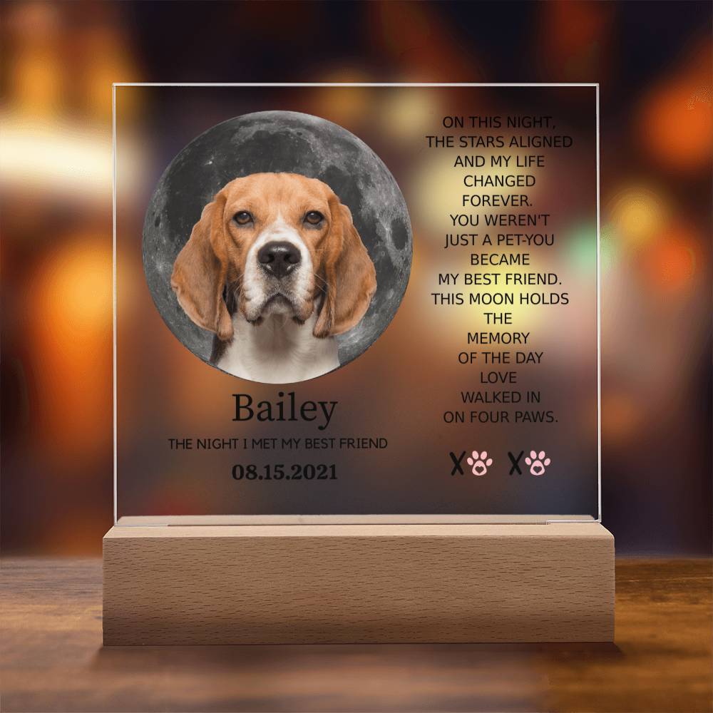 Custom Pet Moon Plaque – “The Night I Met My Best Friend”