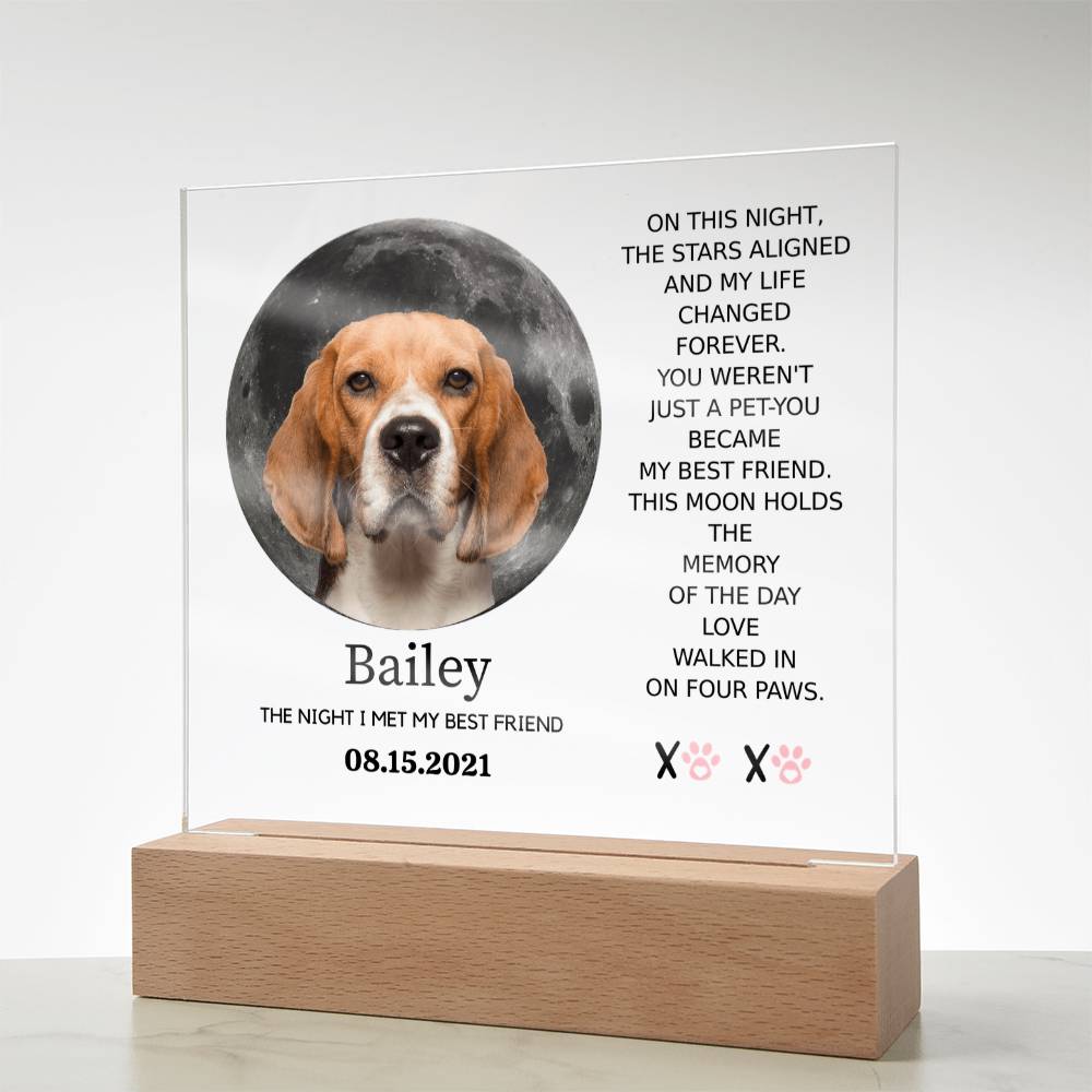 Custom Pet Moon Plaque – “The Night I Met My Best Friend”