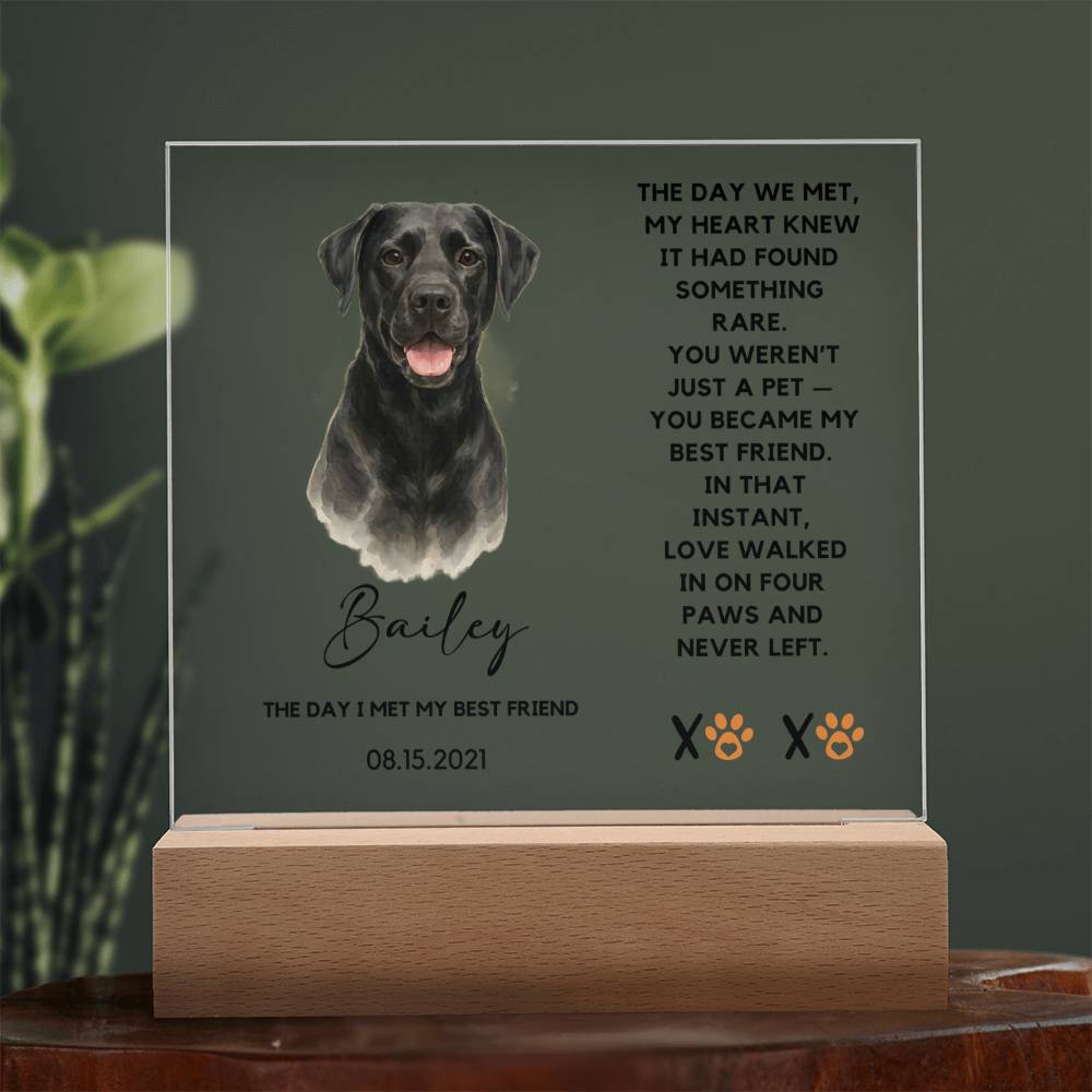 Acrylic plaque with a black dog illustration and text about a pet named Bailey on a dark background.