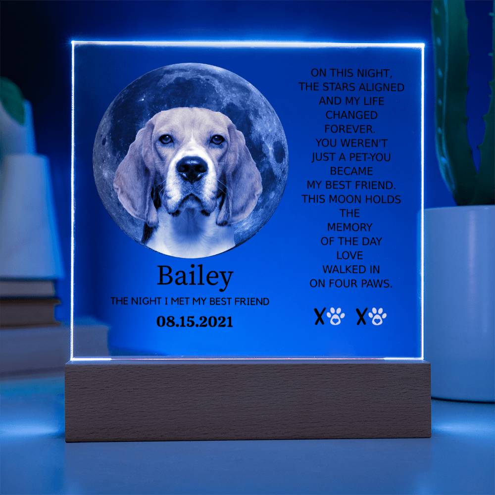 Custom Pet Moon Plaque – “The Night I Met My Best Friend”