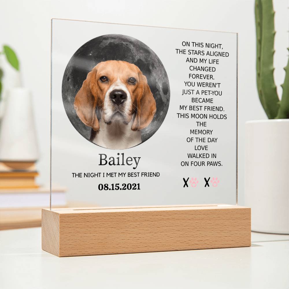 Custom Pet Moon Plaque – “The Night I Met My Best Friend”