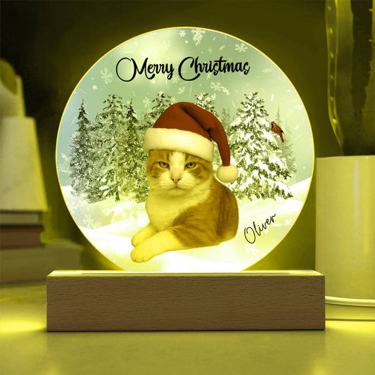 Acrylic Circle Plaque