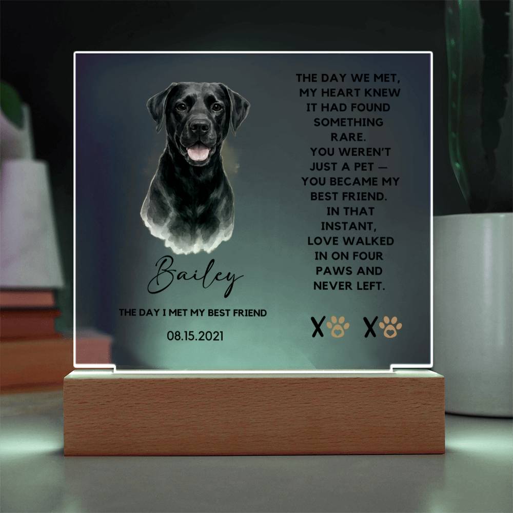 Custom Watercolor Pet Portrait
