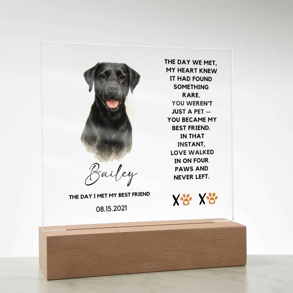Custom Watercolor Pet Portrait