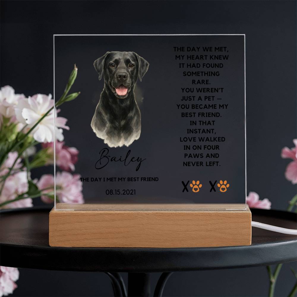 Custom Watercolor Pet Portrait