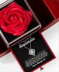 Soulmate Rose Gift Box with Necklace
