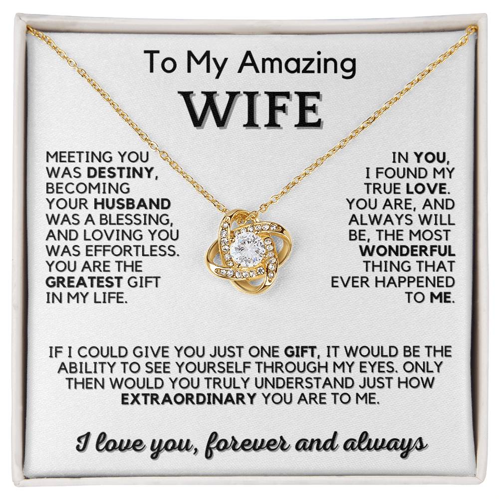 Necklace for Wife | To My Amazing Wife | Gift with Romantic Message