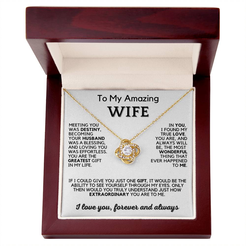 Necklace for Wife | To My Amazing Wife | Gift with Romantic Message