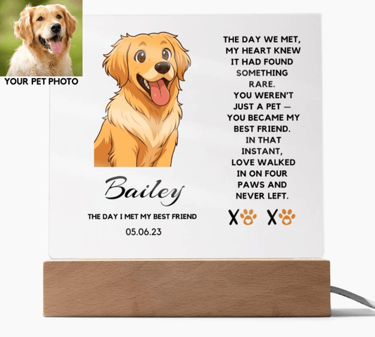 Personalized pet memorial with a cartoon dog, text, and wooden base.