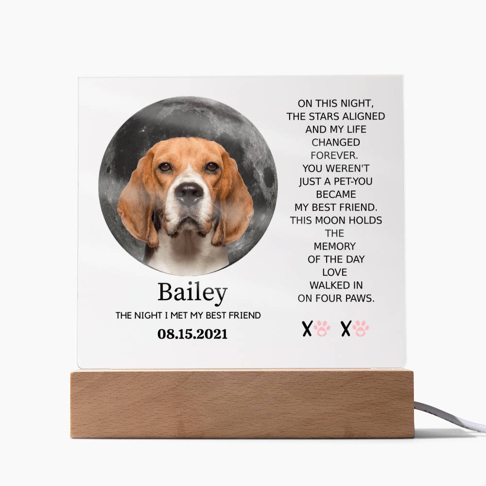 Custom Pet Moon Plaque – “The Night I Met My Best Friend”