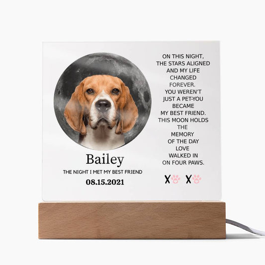 Custom Pet Moon Plaque – “The Night I Met My Best Friend”
