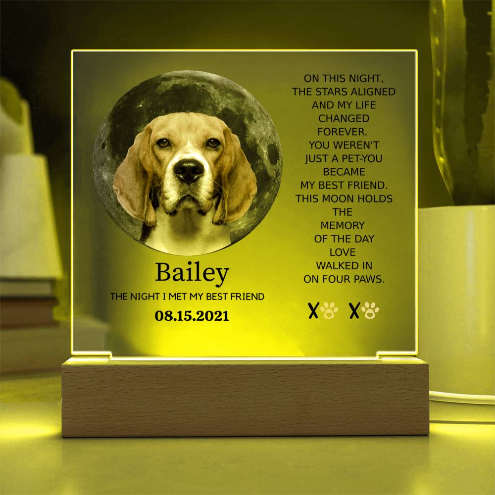 Custom Pet Moon Plaque – “The Night I Met My Best Friend”