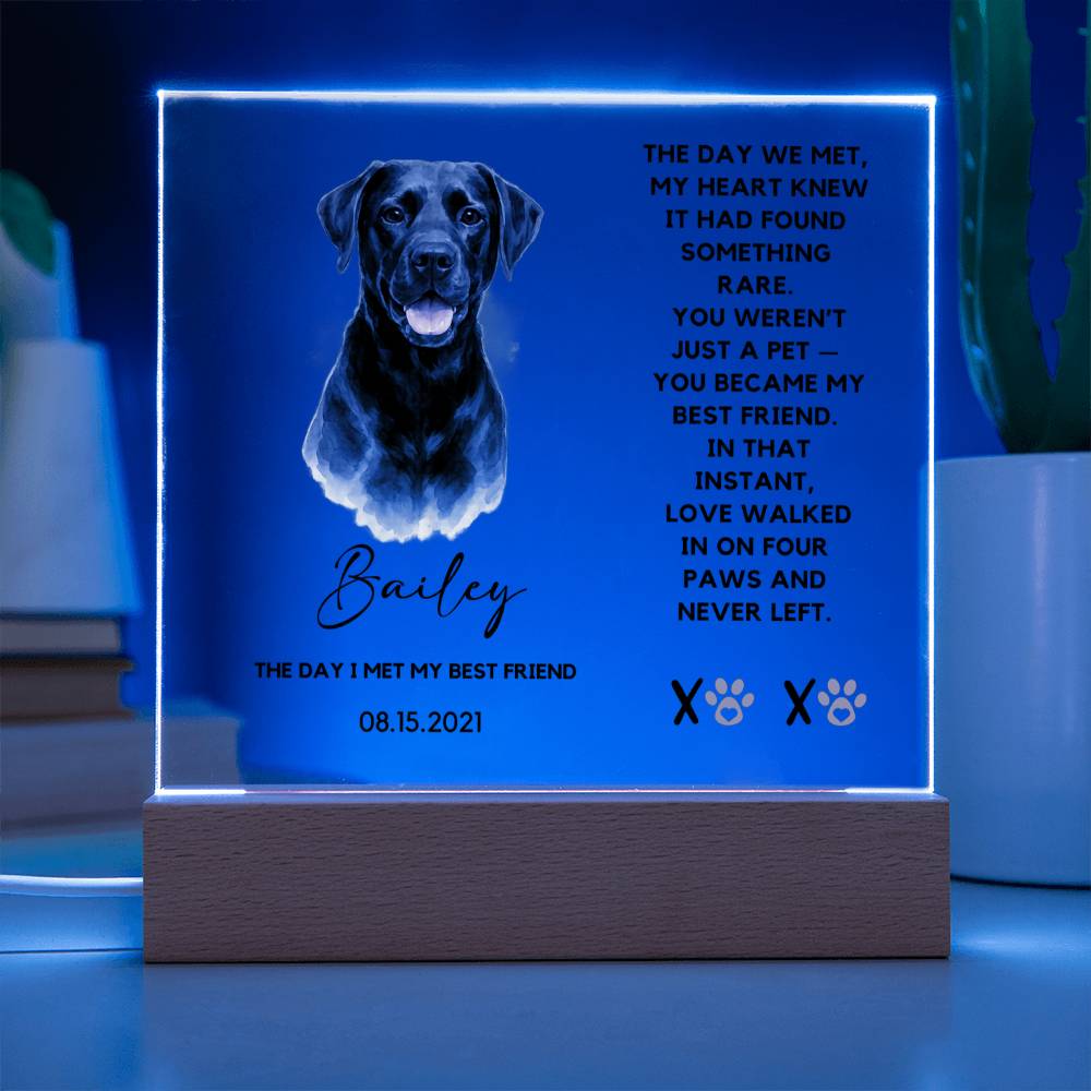 Custom Watercolor Pet Portrait